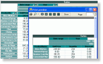 Interactive grid for reports preview