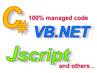 C# and VB.NET scropting