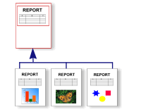 Master Reports